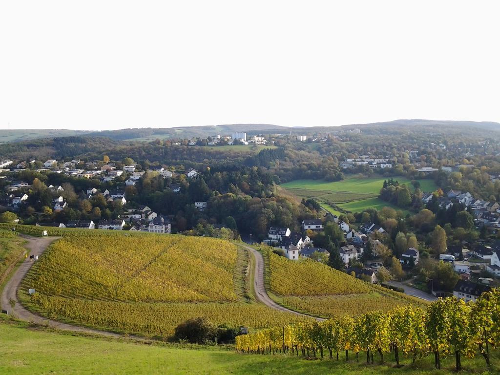 コンツSaar-Mosel-Talアパートメント エクステリア 写真